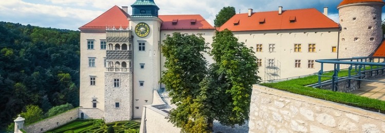 Замок Пескова-Скала в Польше
