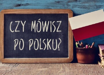 9 приложений, с которыми вы точно выучите польский язык