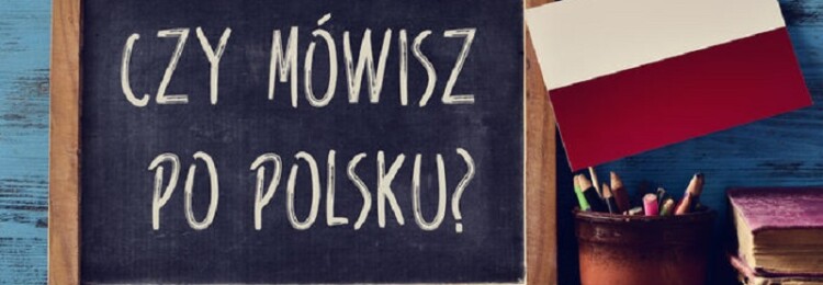 9 приложений, с которыми вы точно выучите польский язык